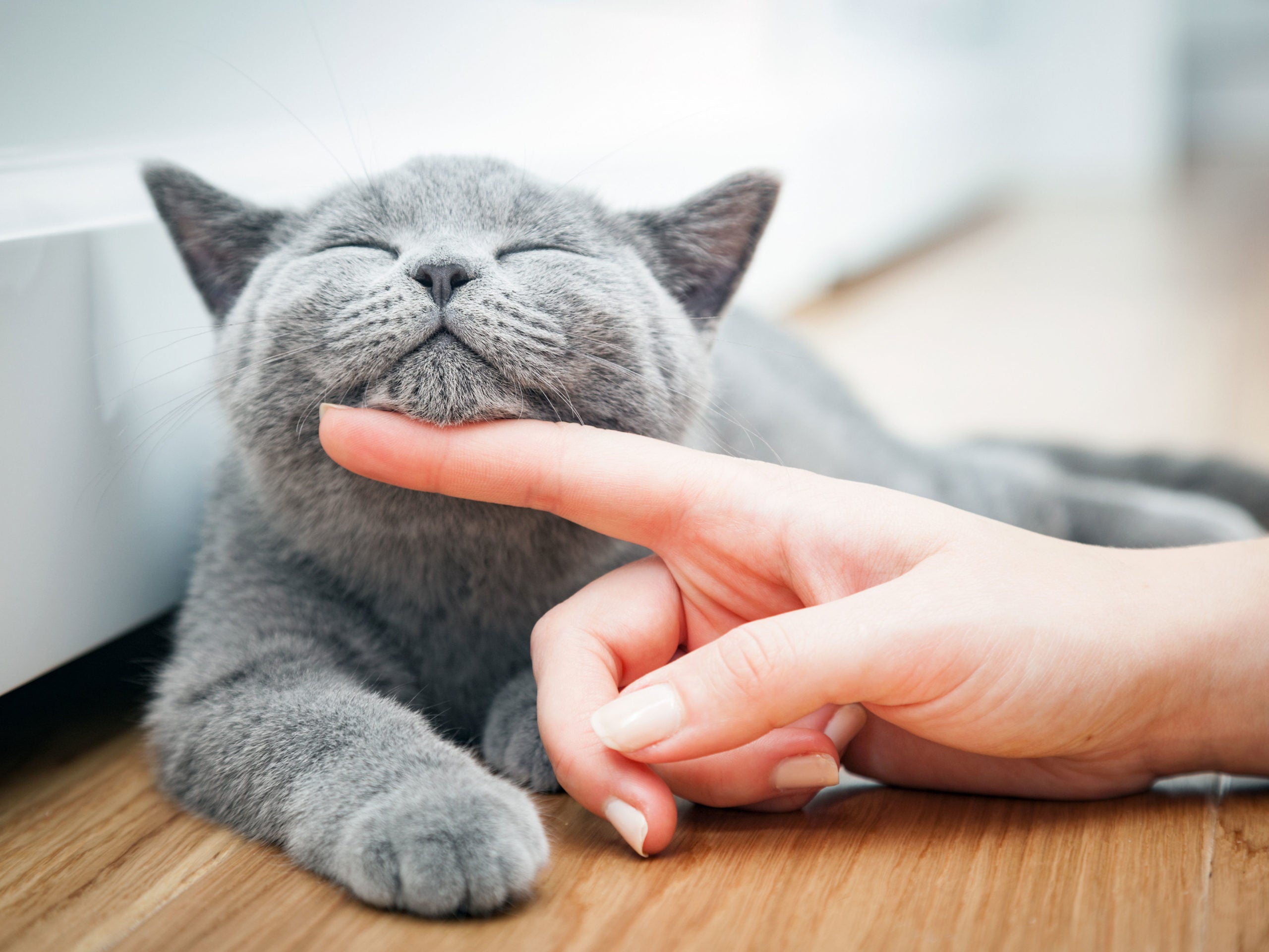 Urinary and Reproductive Tract