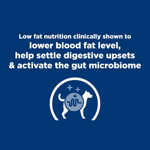 Hill's Prescription Diet i/d Digestive Care Low Fat Original Flavor Wet Dog Food 13oz