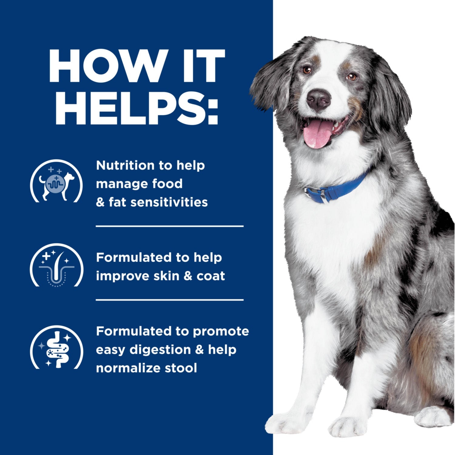 Hill's Prescription Diet z/d Food Sensitivities Low Fat Hydrolyzed Soy Recipe Wet Dog Food 13oz