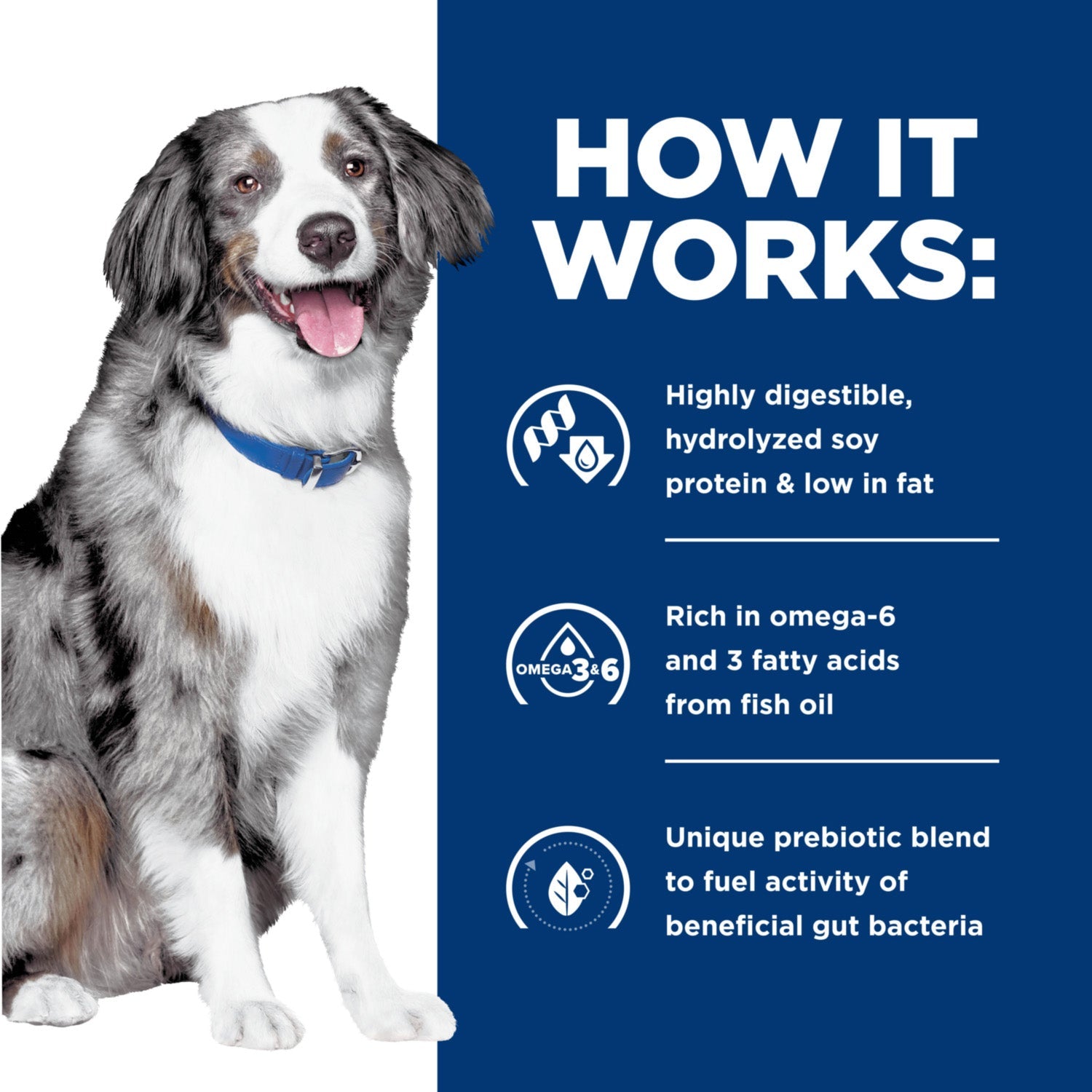 Hill's Prescription Diet z/d Food Sensitivities Low Fat Hydrolyzed Soy Recipe Dry Dog Food 8lbs