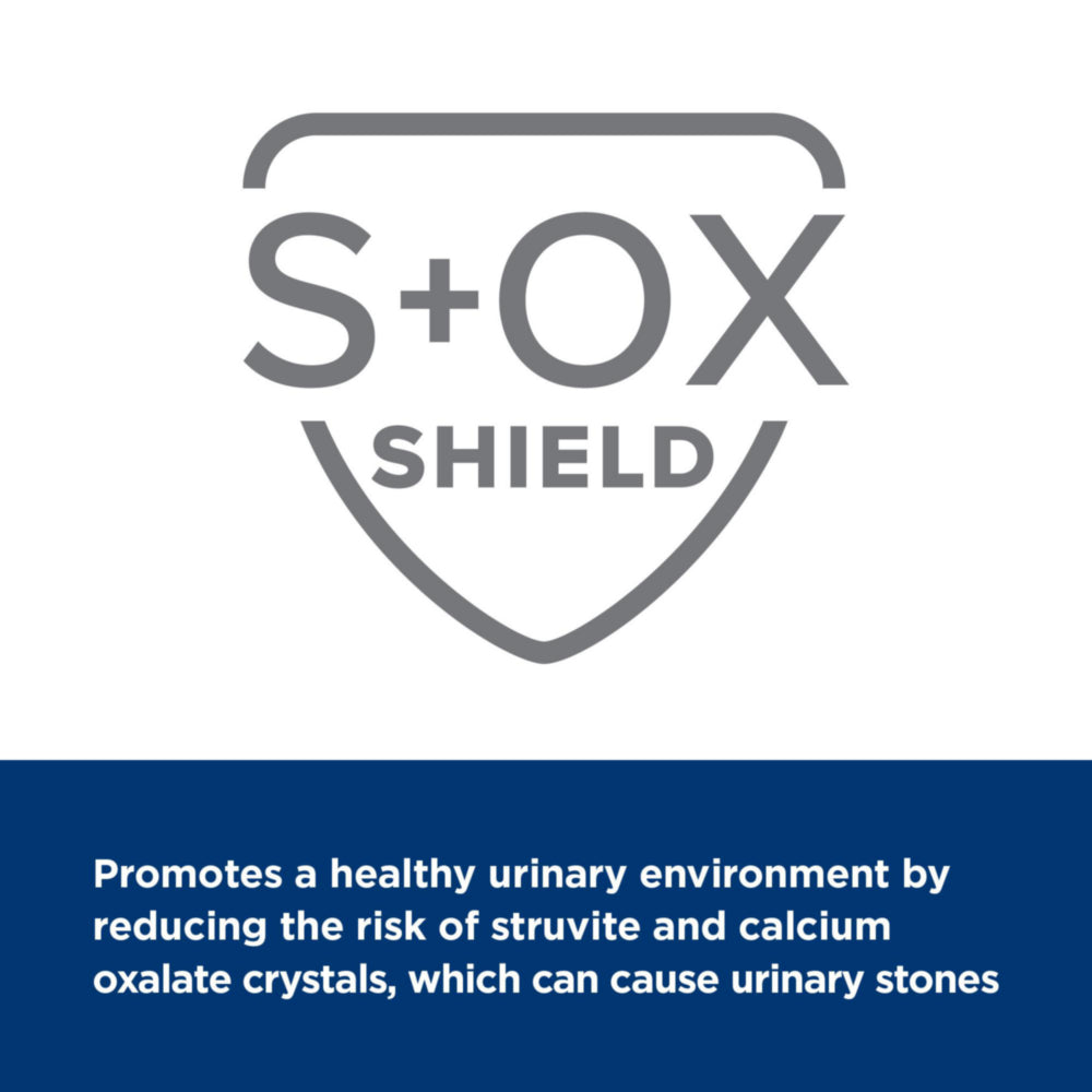 Hill's Prescription Diet z/d Food Sensitivities Wet Dog Food 13oz