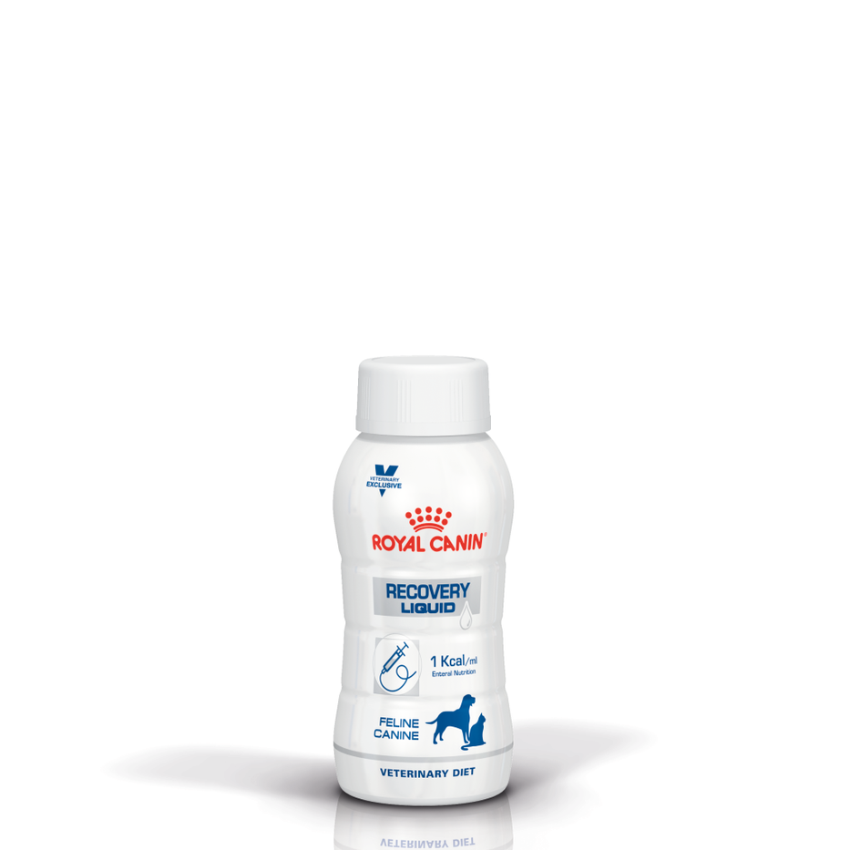 Royal Canin Veterinary Diet Recovery Liquid Bottled Cat and Dog Food