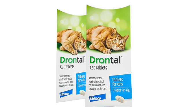 Drontal Dewormer for Cats Tablet