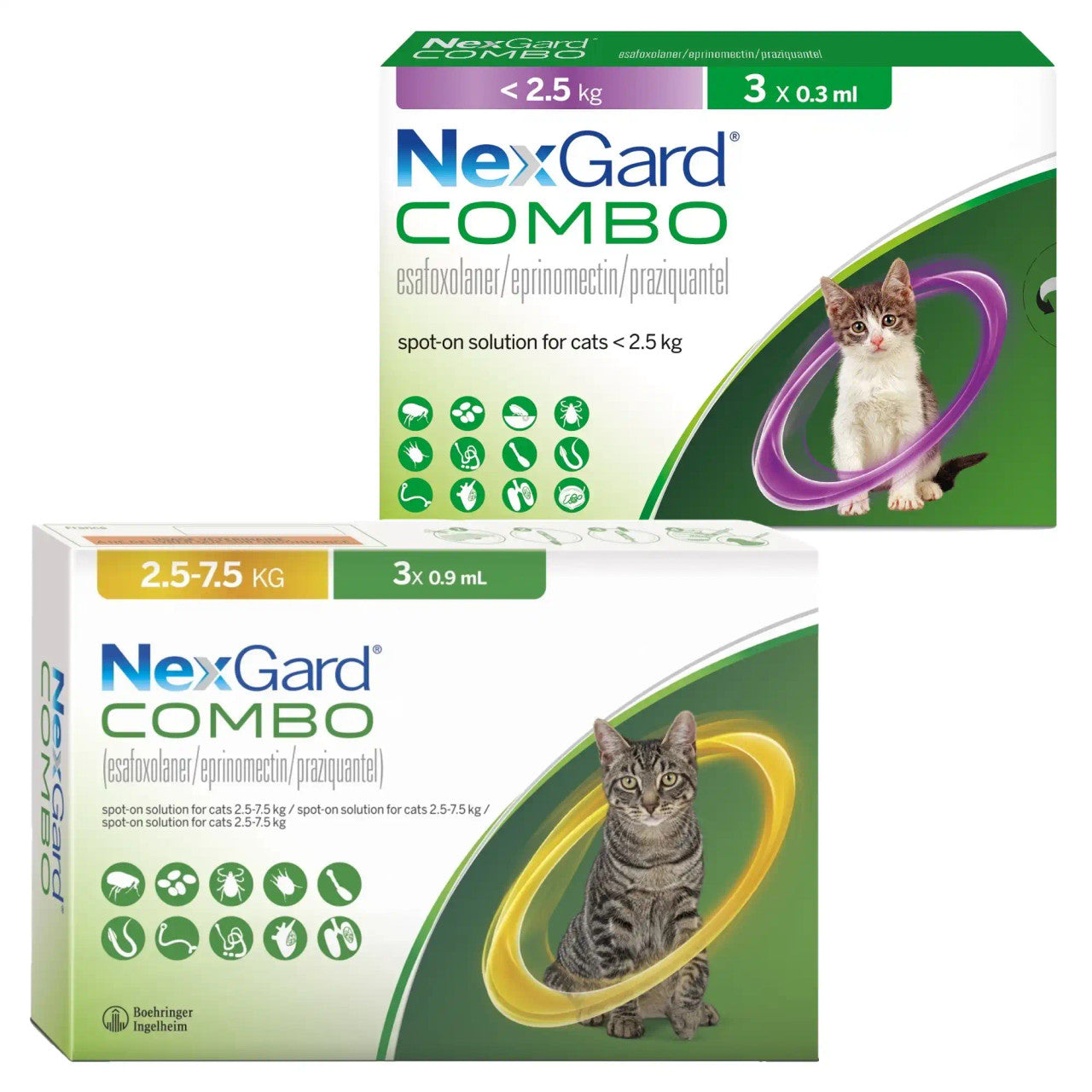 NexGard Combo Spot-On Solution for Cats