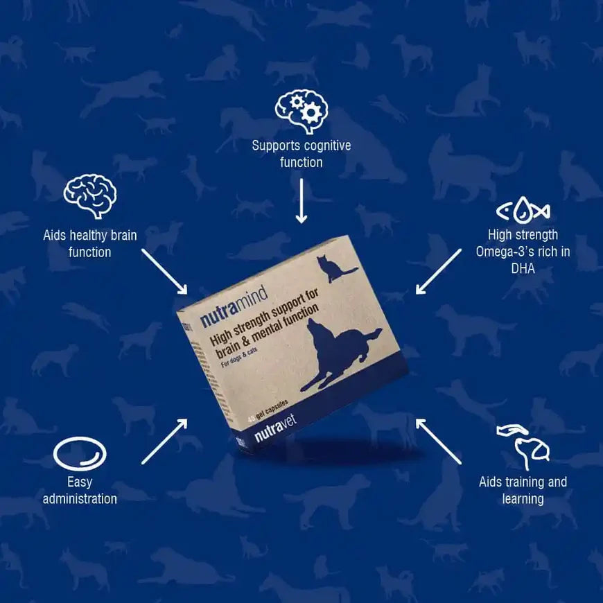 Nutramind Brain and Mental Function Support For Dogs and Cats