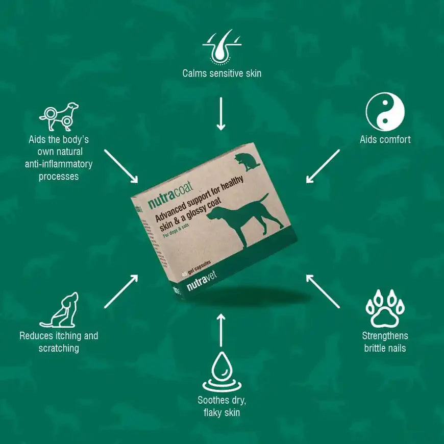 Nutracoat Healthy Skin and Glossy Coat Support For Dogs and Cats