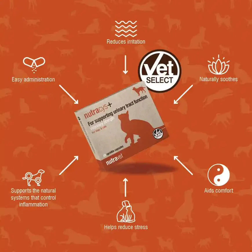 Nutracys+ Urinary Tract Function Support for Cats and Dogs