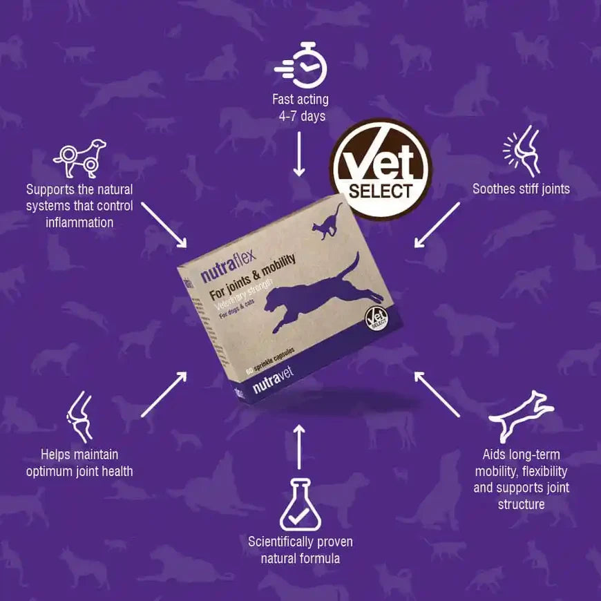 Nutraflex Joint Strength Support For Dogs and Cats