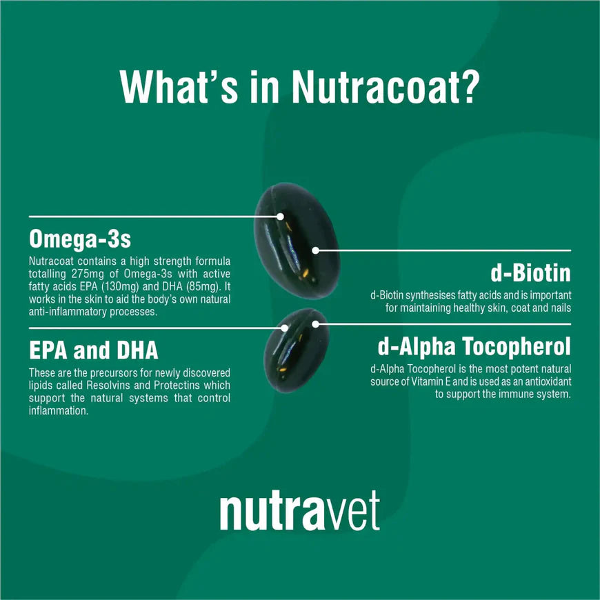 Nutracoat Healthy Skin and Glossy Coat Support For Dogs and Cats