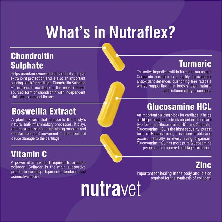 Nutraflex Joint Strength Support For Dogs and Cats
