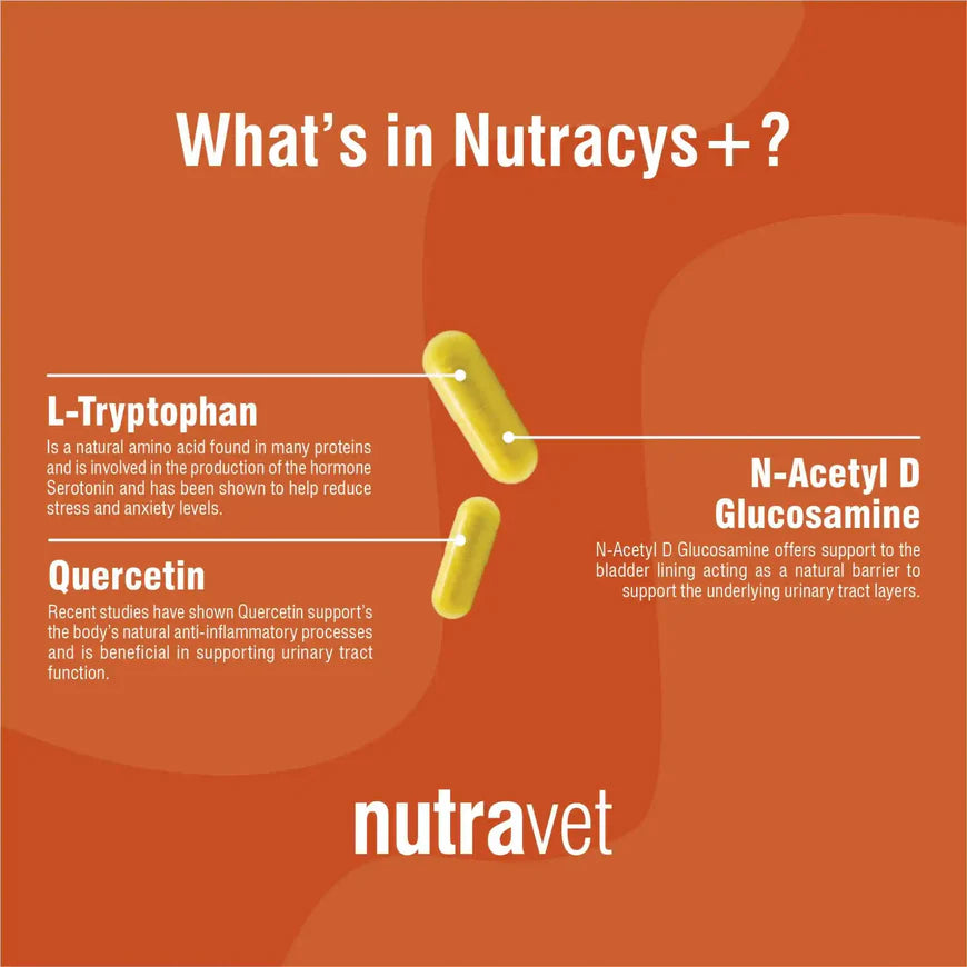 Nutracys+ Urinary Tract Function Support for Cats and Dogs