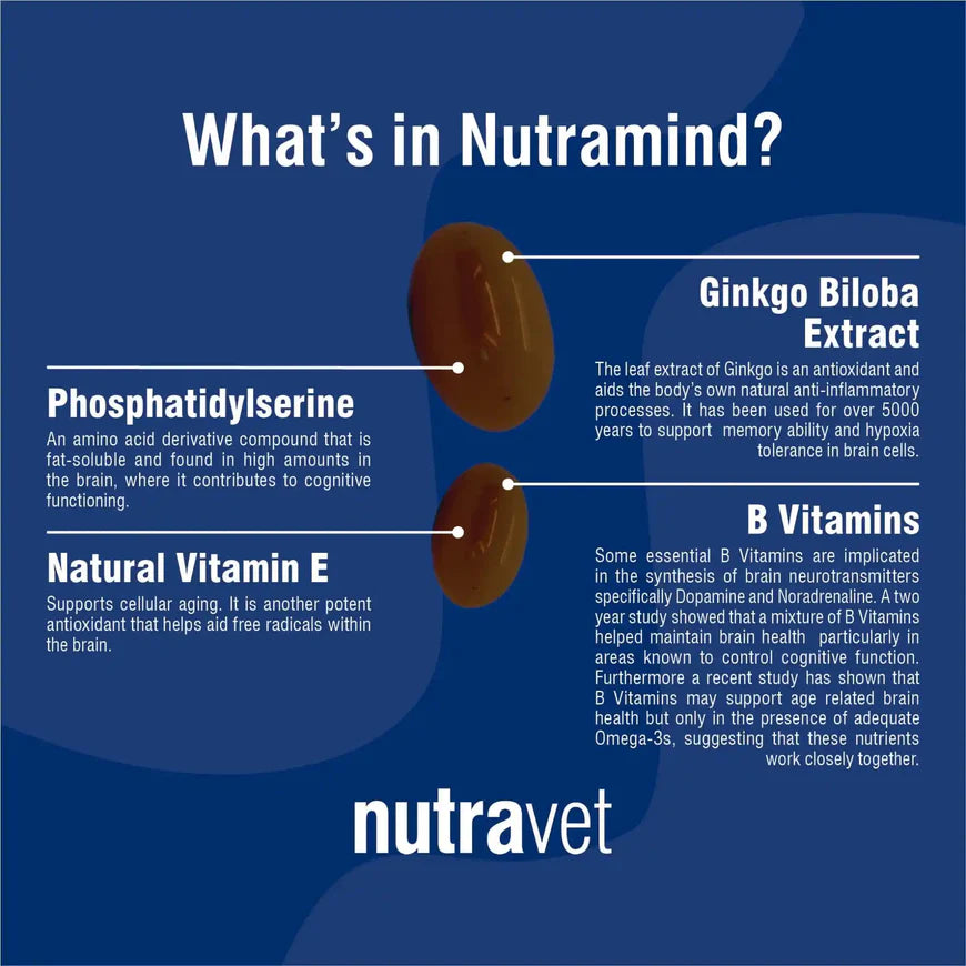 Nutramind Brain and Mental Function Support For Dogs and Cats