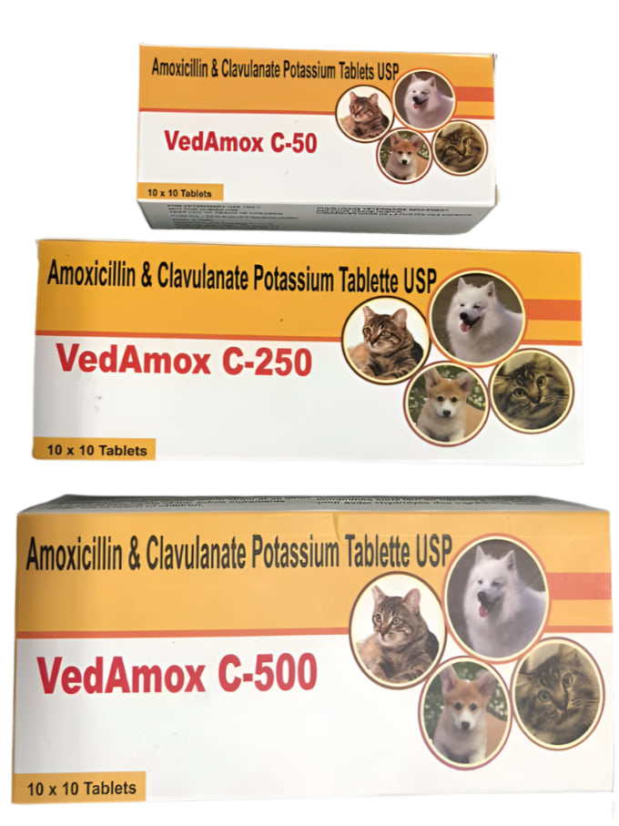 VedAmox C Amoxycillin Clavulanate Tablet (50mg/250mg/500mg)