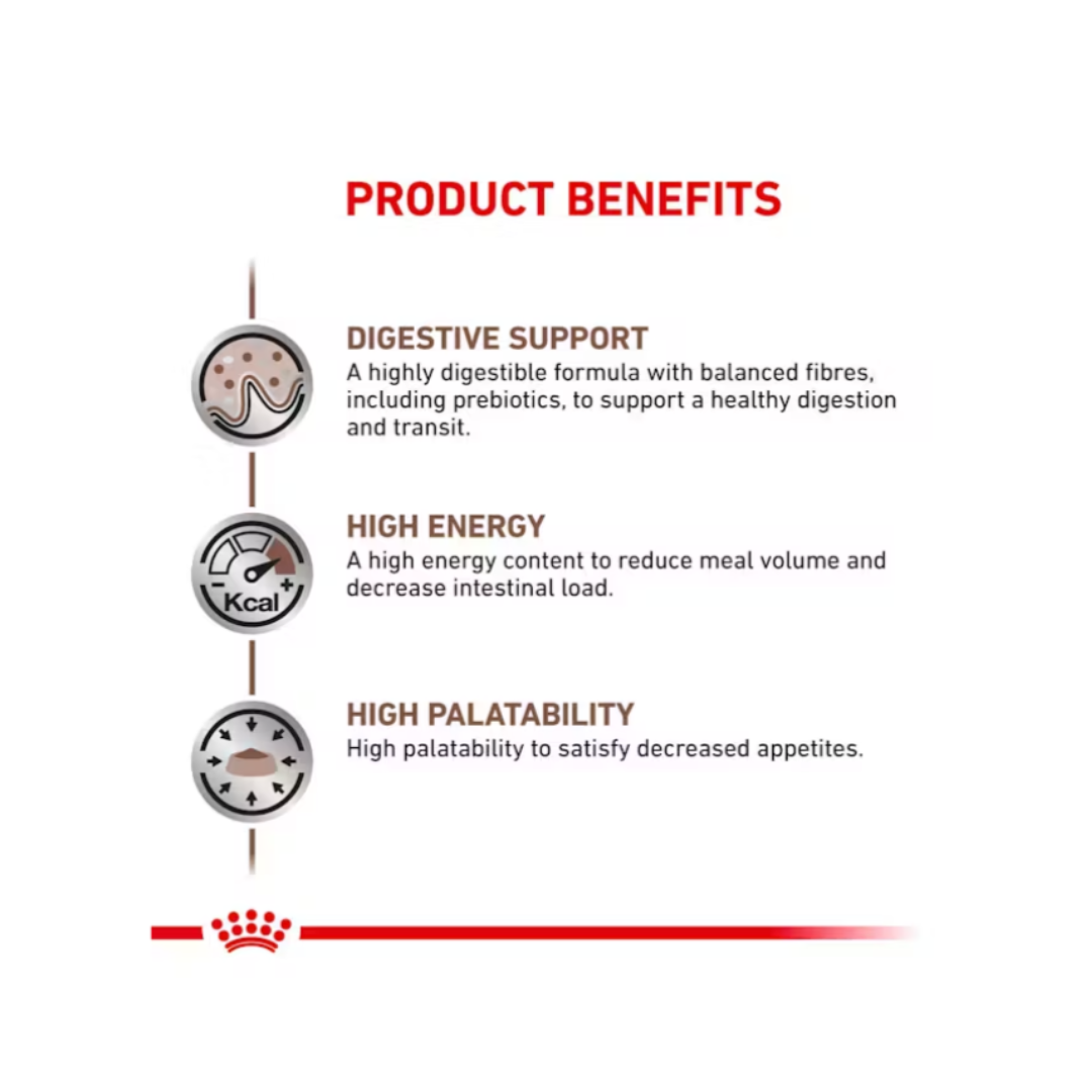 Royal Canin Veterinary Diet Gastrointestinal Dry Cat Food