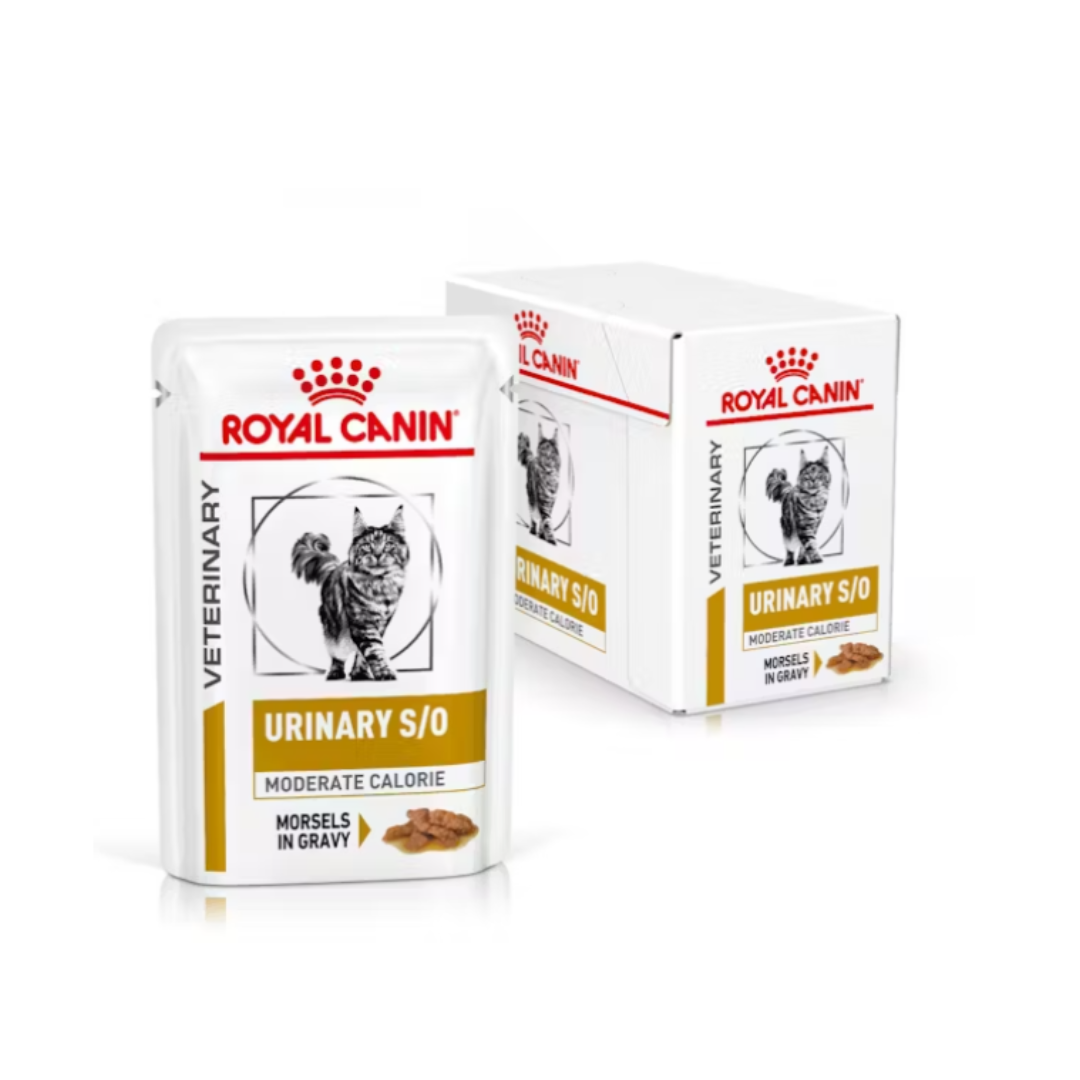 Royal Canin Veterinary Diet Urinary S/O Moderate Calorie Morsels in Gravy Pouches Wet Cat Food