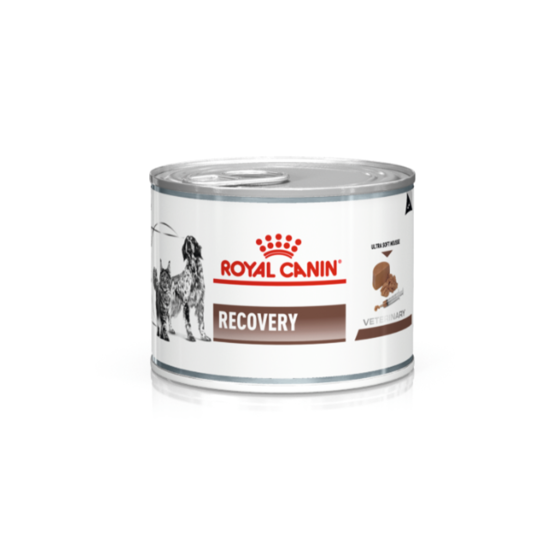 Royal Canin Veterinary Diet Recovery Canned Dog Wet Food