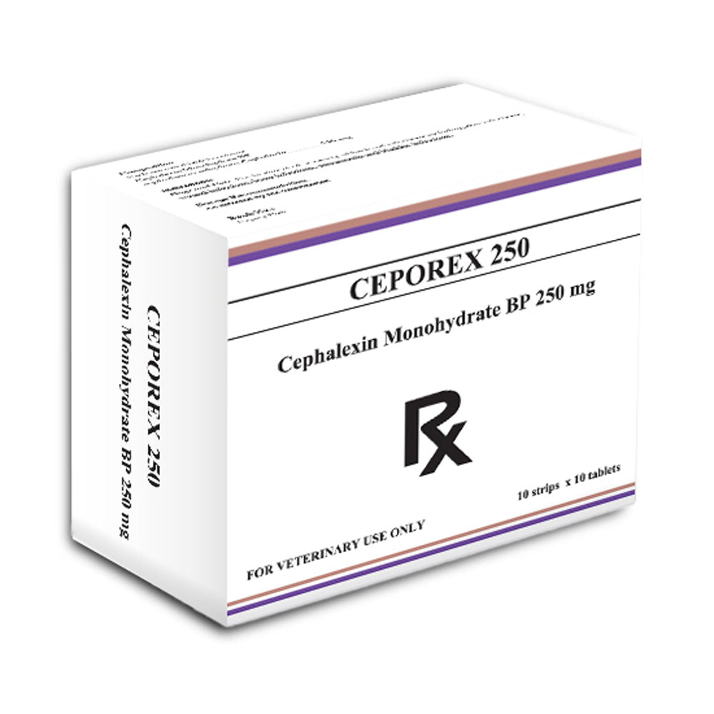 Ceporex (Cephalexin Monohydrate) 250mg Tablets