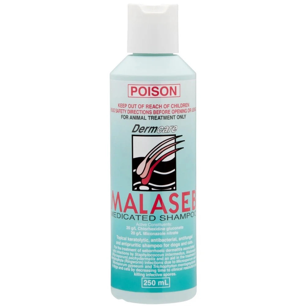 Malaseb Medicated Shampoo for Dogs and Cats
