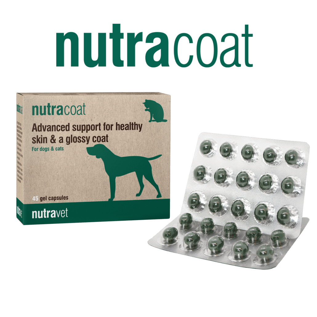 Nutracoat Healthy Skin and Glossy Coat Support For Dogs and Cats