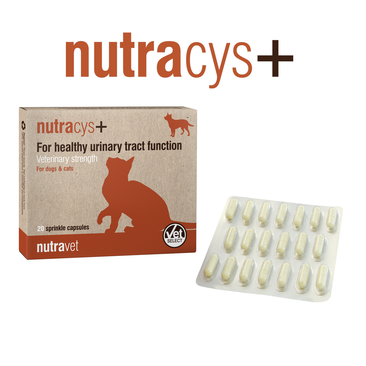 Nutracys+ Urinary Tract Function Support for Cats and Dogs
