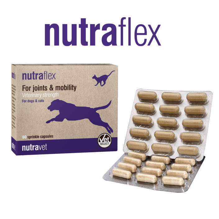 Nutraflex Joint Strength Support For Dogs and Cats