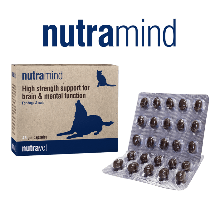 Nutramind Brain and Mental Function Support For Dogs and Cats