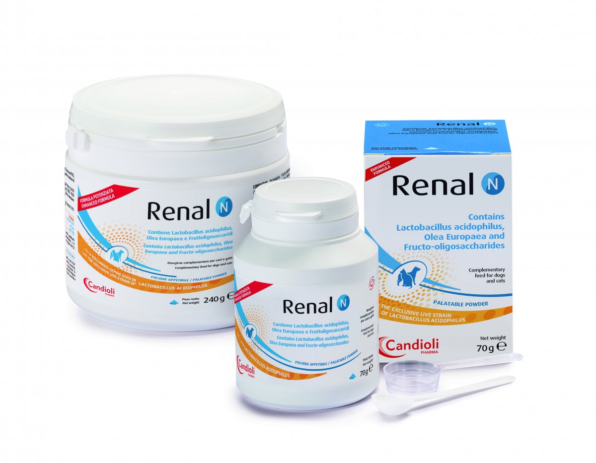 Renal N Powder (30g/70g/240g)