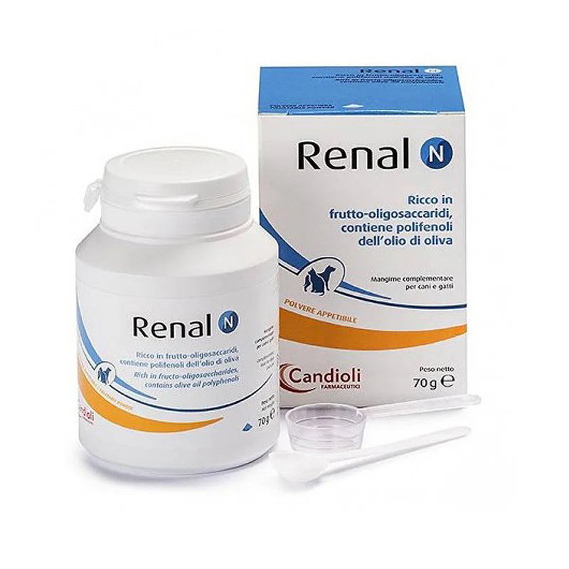 Renal N Powder 30g Sachet