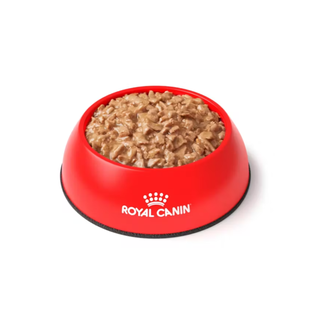 Royal Canin Veterinary Diet Urinary S/O Chicken Morsel in Gravy Pouches Wet Cat Food
