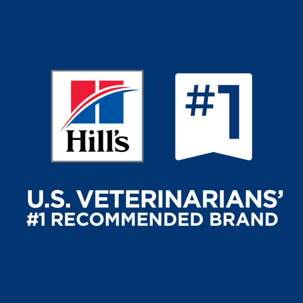 Hill's Prescription Diet w/d Multi-Benefit Chicken Flavor Wet Dog Food 13oz
